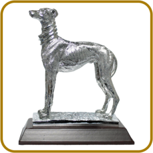 TROFEO 81163/VS
