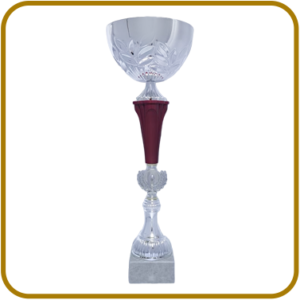 COPA TBR 11281